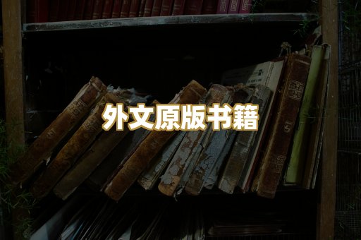 TXT文本书库